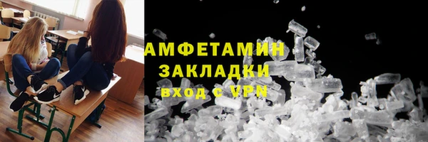 спиды Ельня