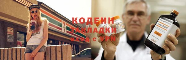 спиды Ельня