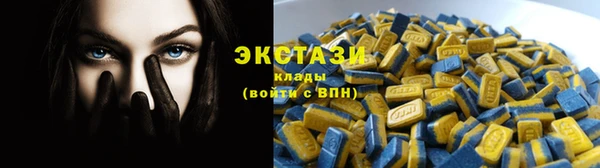 спиды Ельня