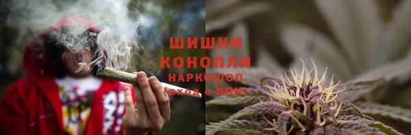 спиды Ельня