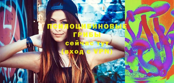 синтетический гашиш Елизово