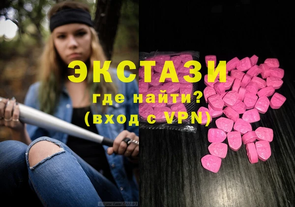 спиды Ельня