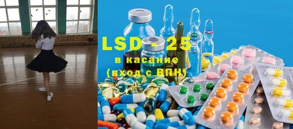 спиды Ельня