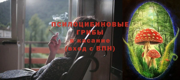 спиды Ельня