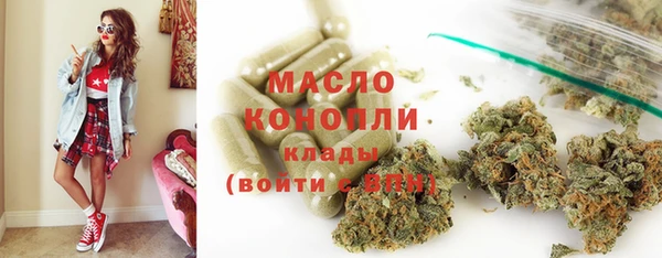 спиды Ельня