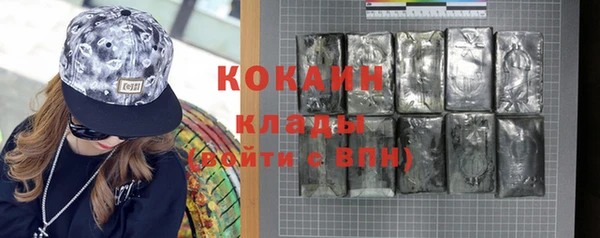 спиды Ельня